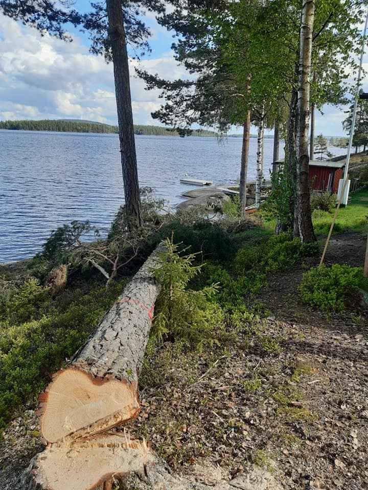 ML Skog & Allservice AB omslagsbild